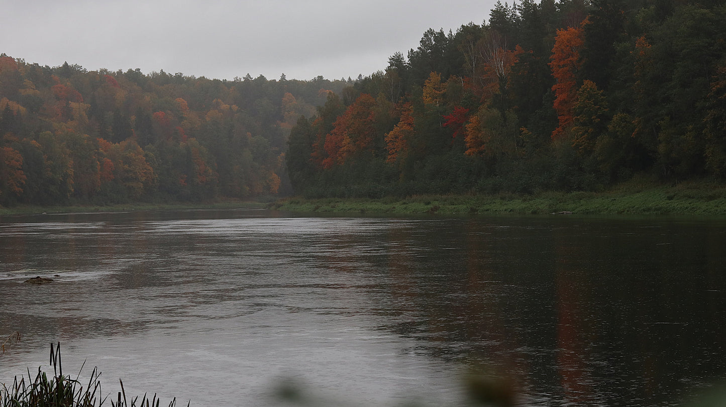 Photo collection - autumn in the Lithuanian forest