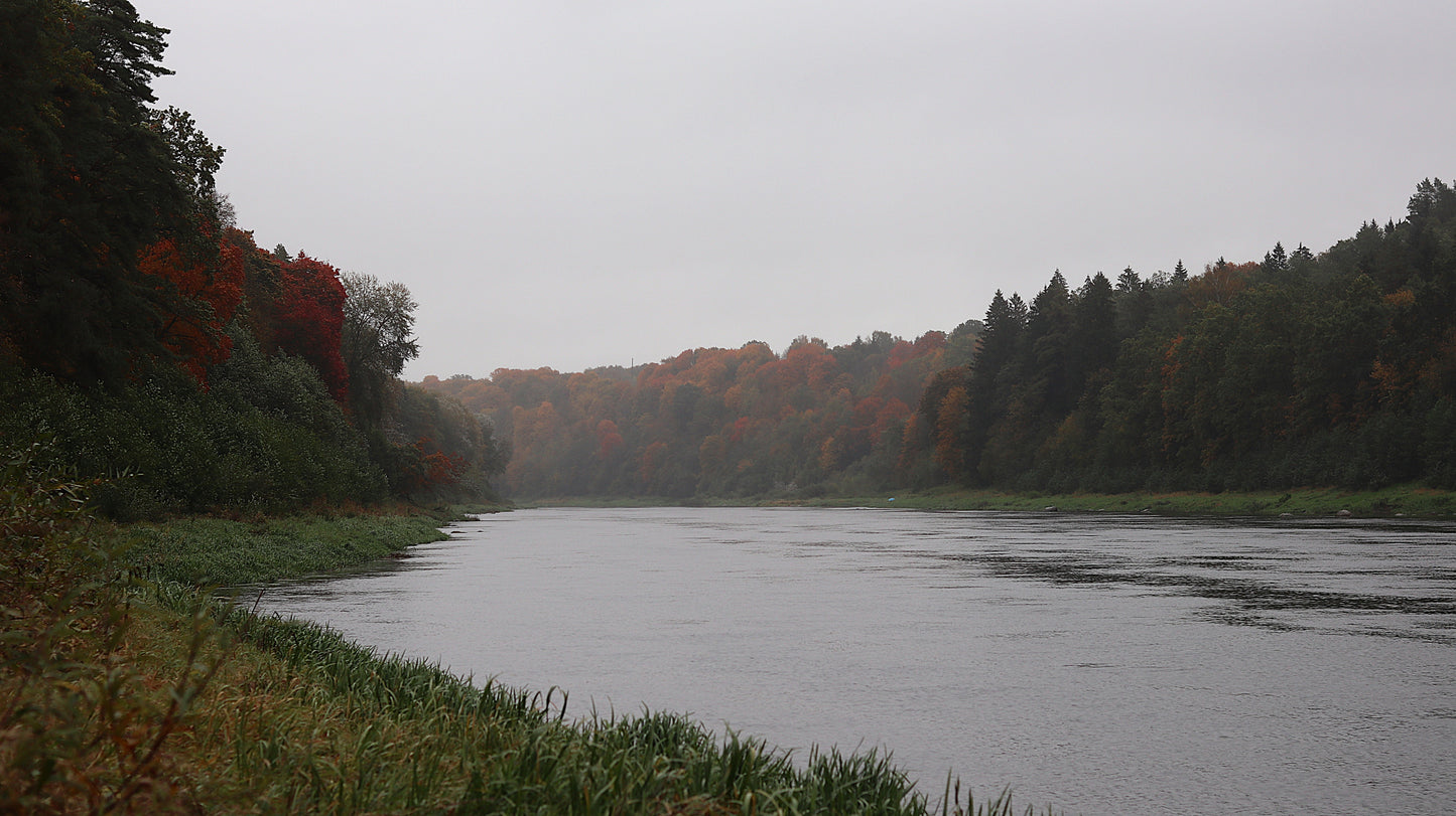Photo collection - autumn in the Lithuanian forest