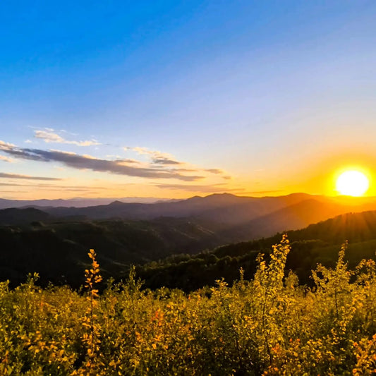 Saulėlydis Karpatuose