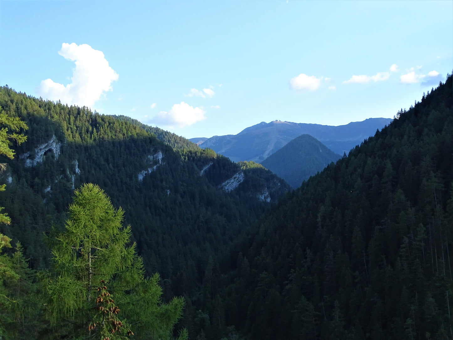 Gamtos rinkinys | Nature Photo Set