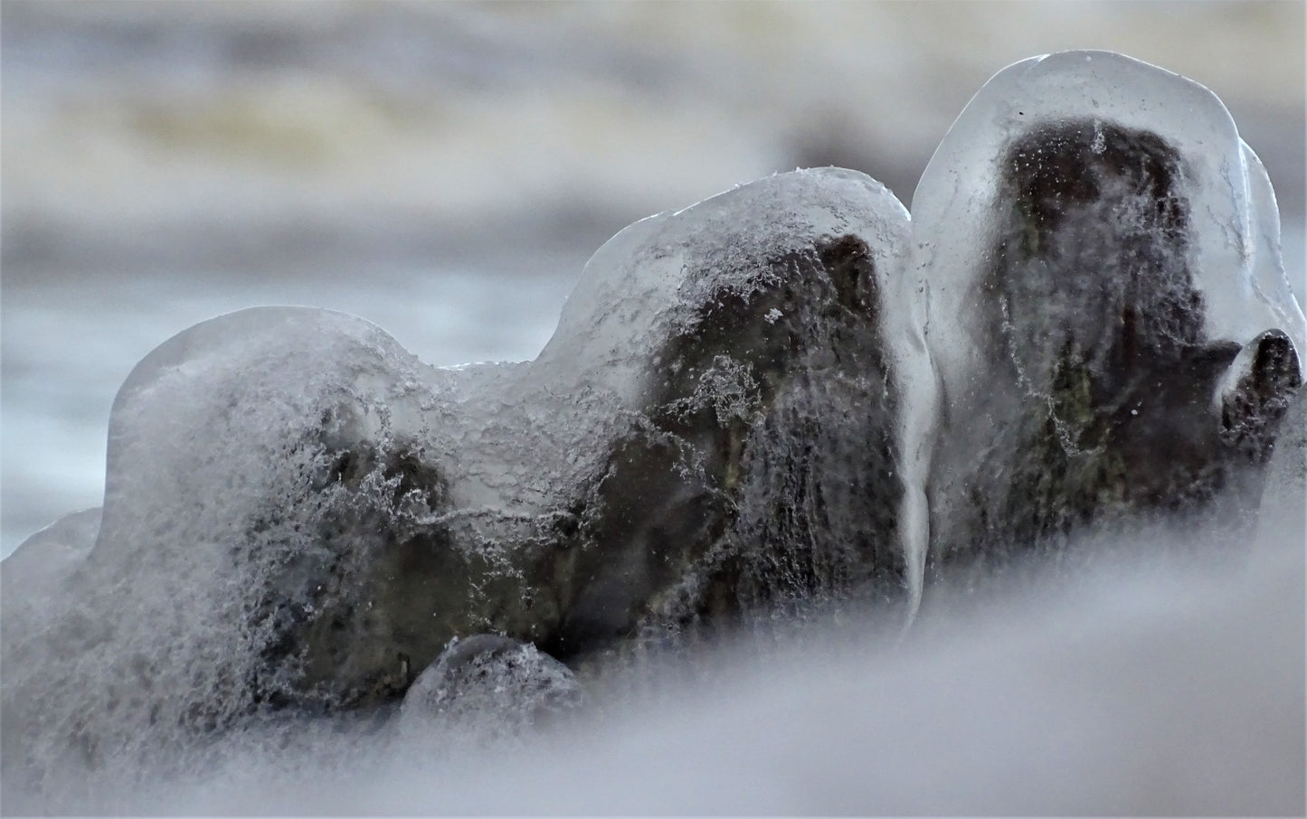 Gamtos rinkinys | Nature Photo Set