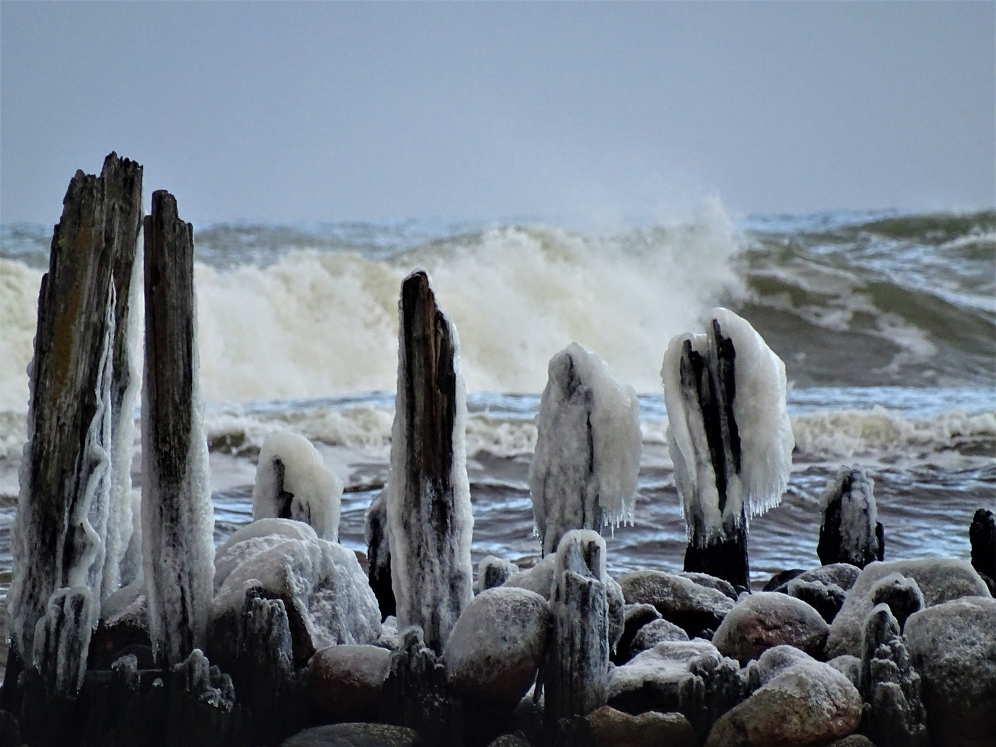 Gamtos rinkinys | Nature Photo Set