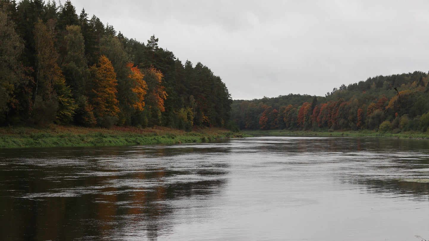 Photo collection - autumn in the Lithuanian forest