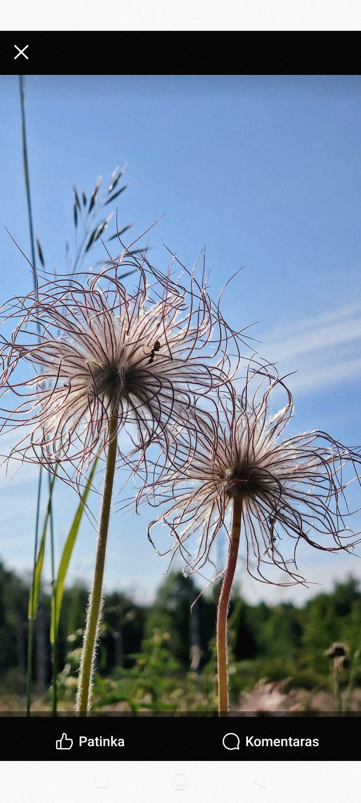 Stebuklai